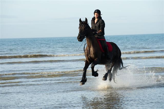 Horse And Rider Galloping