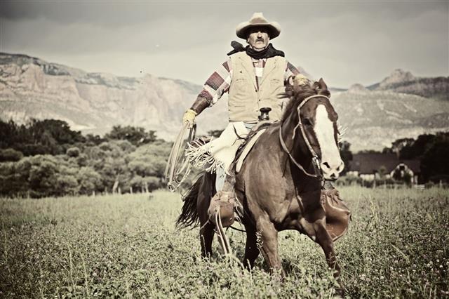 Cowboy Horse Rider