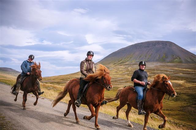 Riding Icelandic Ponies