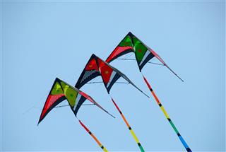 Kites In The Sky