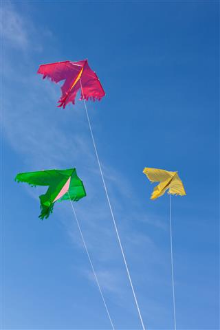 Three Kites