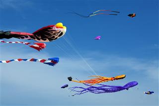 Kites In A Clear Blue Sky