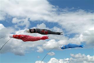 Red Black And Blue Fish Kites