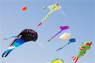 Colorful Kites Flying In Blue Sky