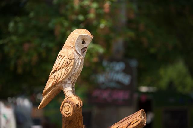 Wooden Carved Owl