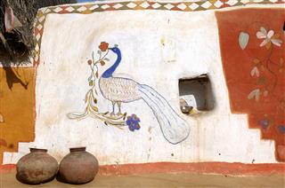 Rajasthan Colorful Painted Walls