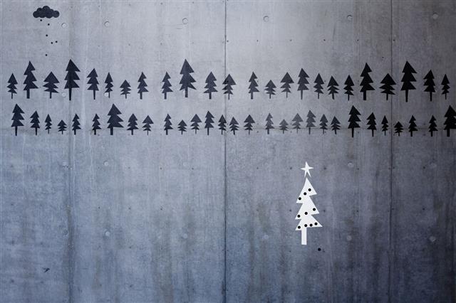 Christmas Pine Trees On Concrete Background