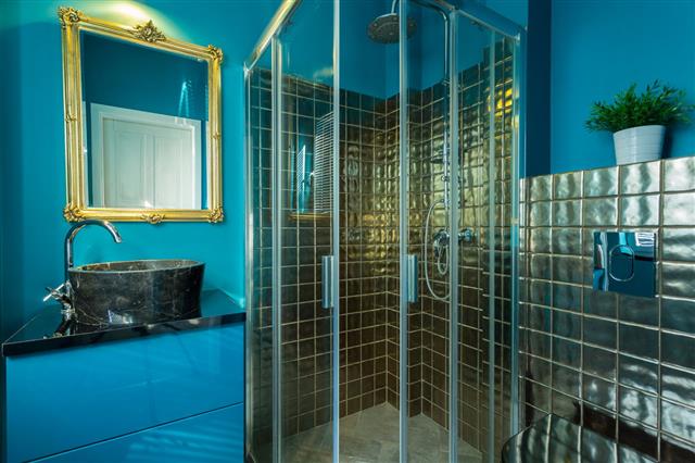 Exclusive Bathroom With Blue Walls