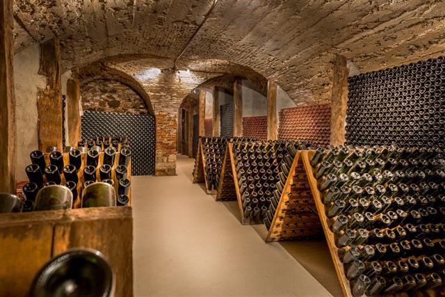 Wine Cellar Row Of Champagne Bottles
