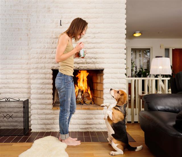 Woman And Beagle Playing Next To Fireplace
