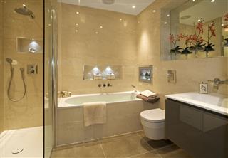 Luxurious Bathroom And Shower