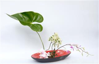 Ikebana Thai Flower Decoration