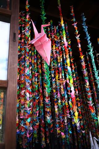 Thousand Colorful Origami Paper Cranes