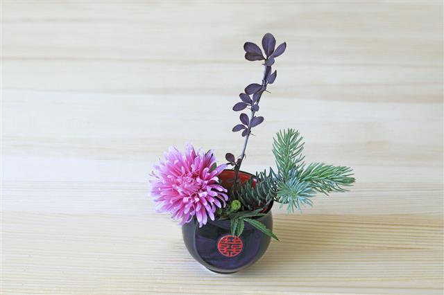 Ikebana With Pink Flower Branches