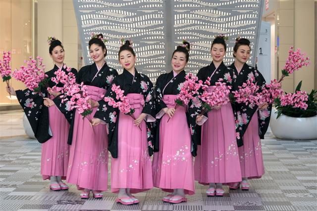 Group Of Japanese Geisha Girls