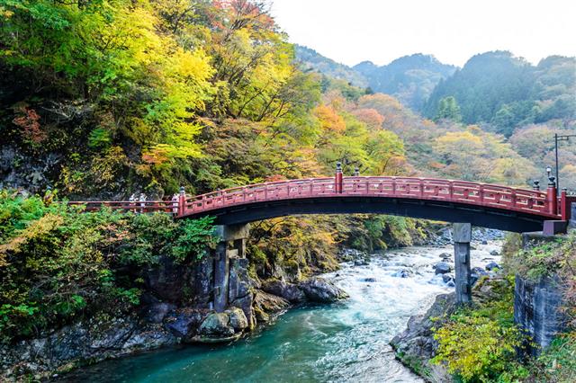 Shinkyo Bridge During Autumn In Nikko