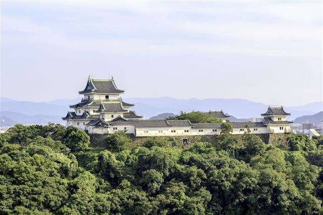 Wakayama Castle In Kansai Japan