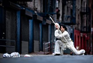 Kung Fu Martial Artist Training