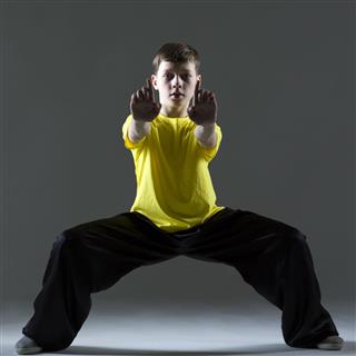 Young Boy At Kung Fu Fighting