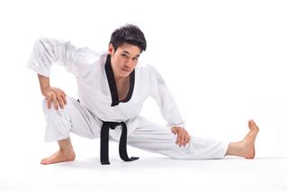 Taekwondo Action