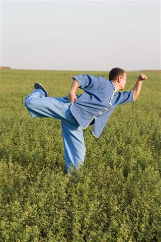 Kung Fu At Outdoor