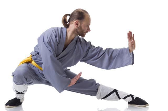 Everything You Need To Know About All The Kung Fu Fighting Styles - Sports  Aspire