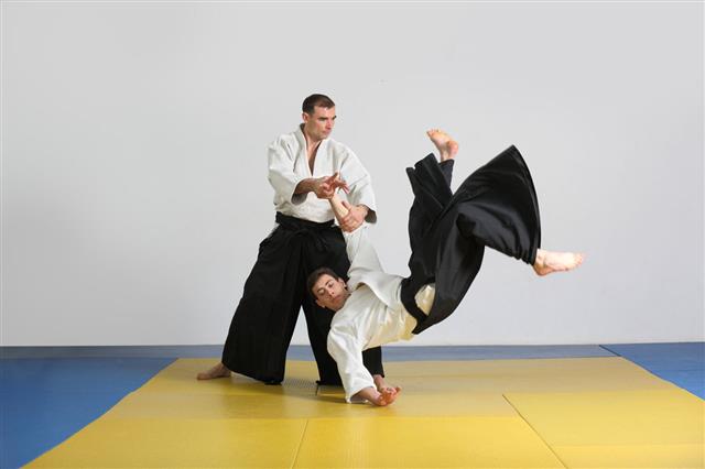Martial Art Of Aikido
