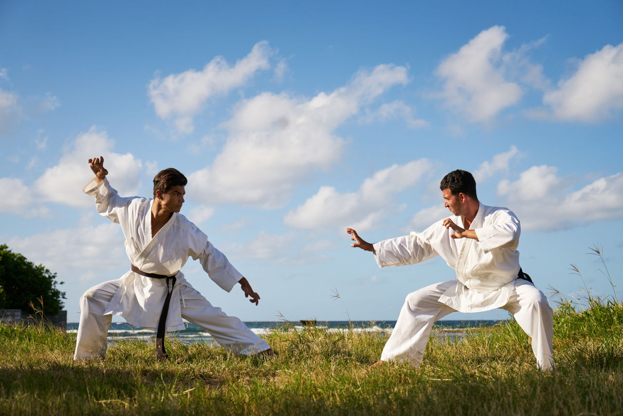 Best Of martial arts fighting styles What are the 6 types of martial arts?