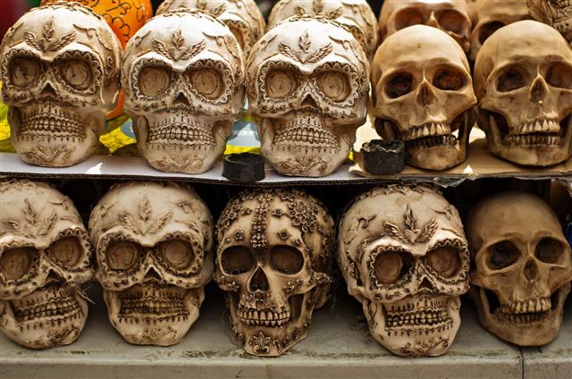 Decorated Skulls At Market