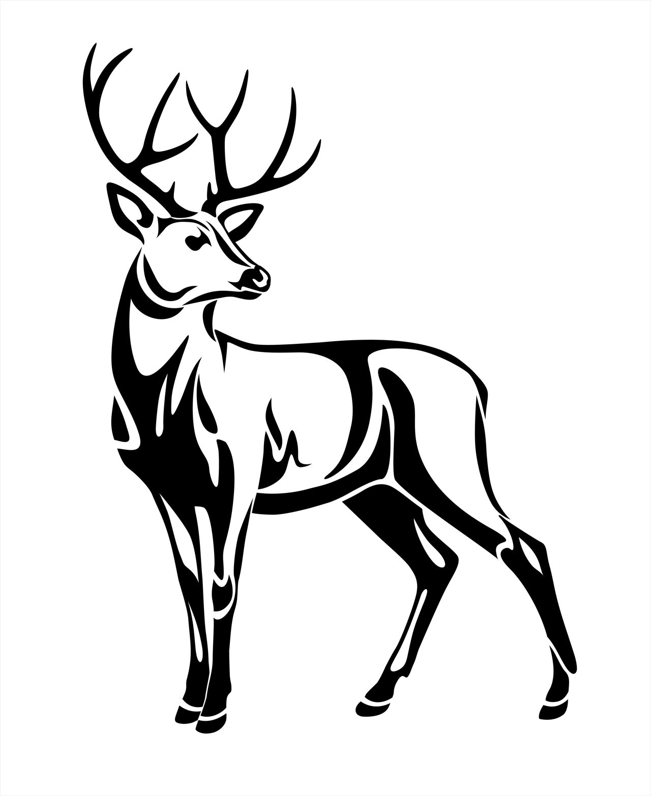 Deer Spirit Animal: What Does it Symbolize? - Mysticurious