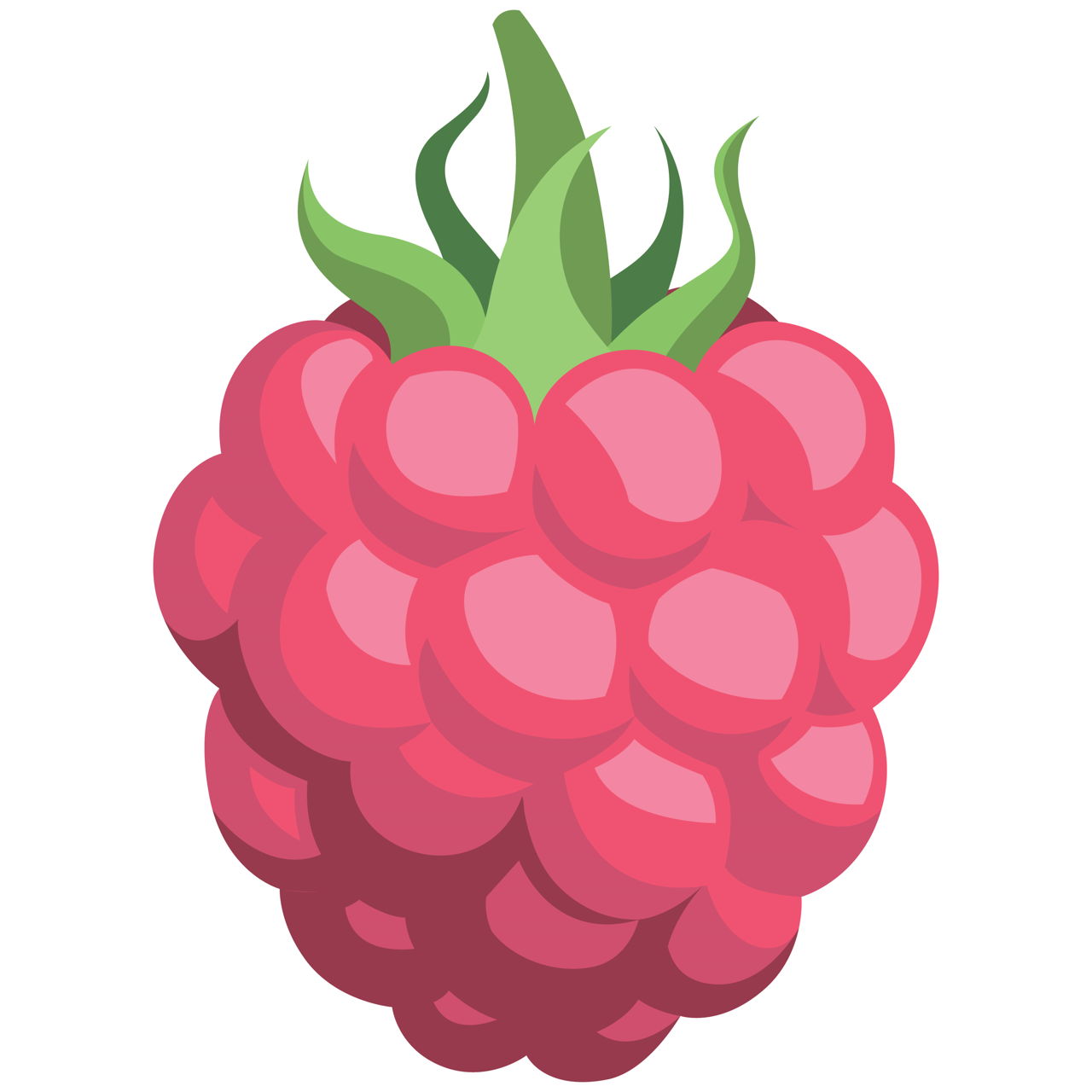 Raspberries Nutrition