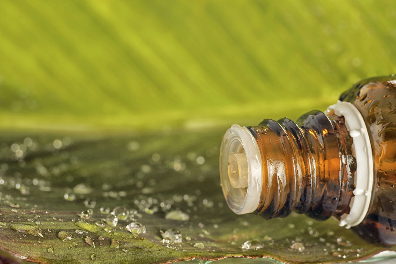 Lemongrass Oil as an Insect Repellent