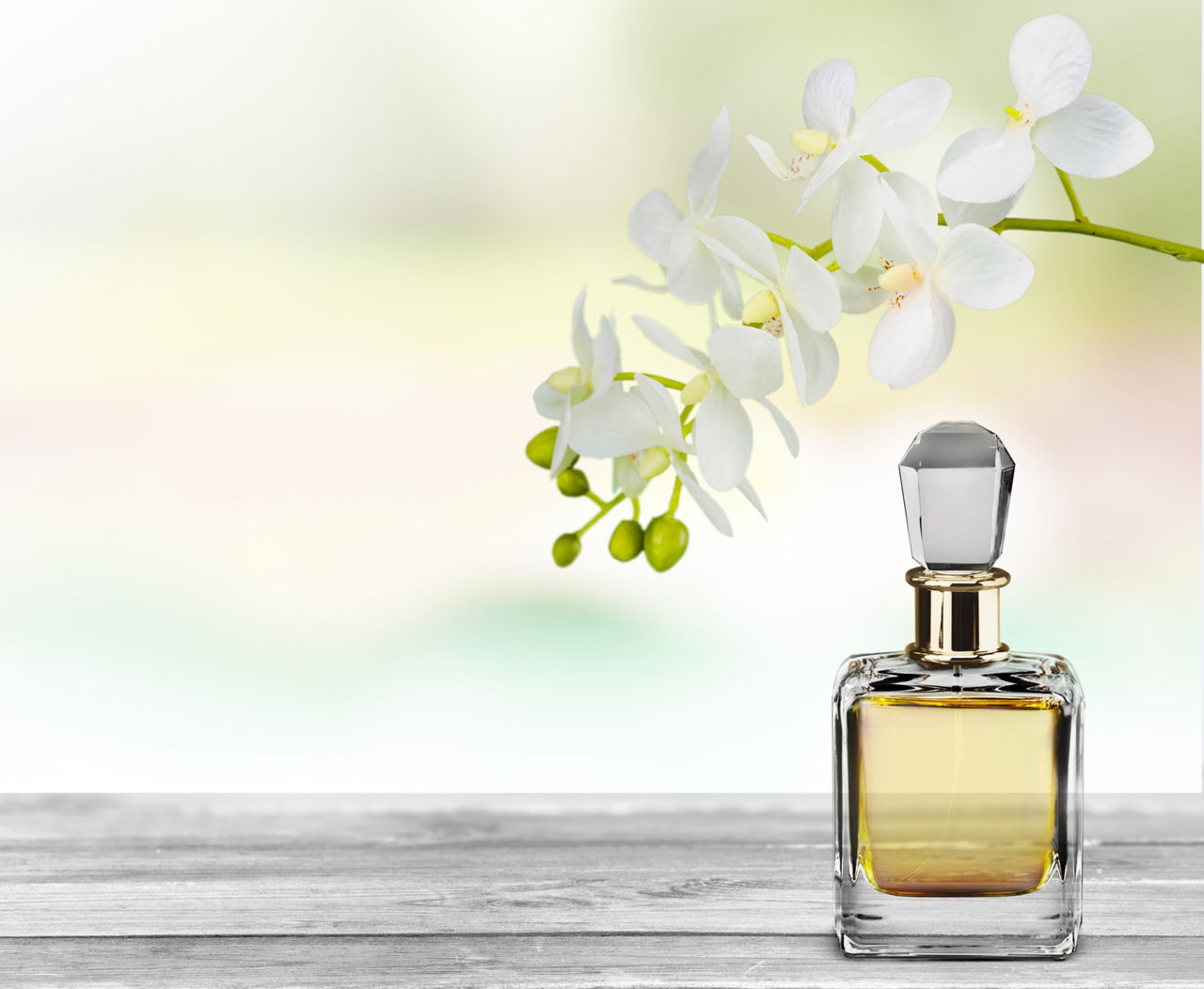 Top Perfumes for Summer