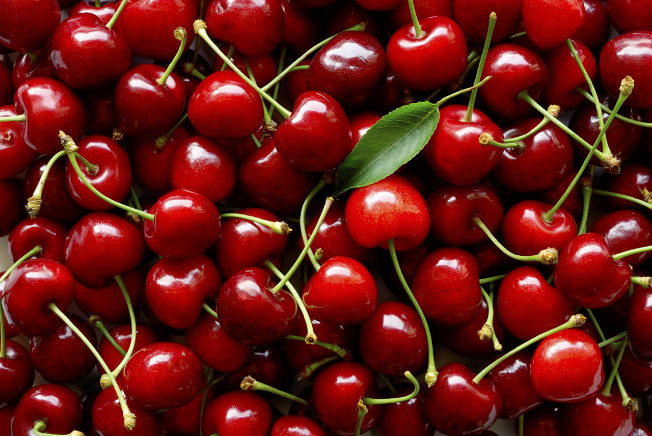 Cherries and Gout