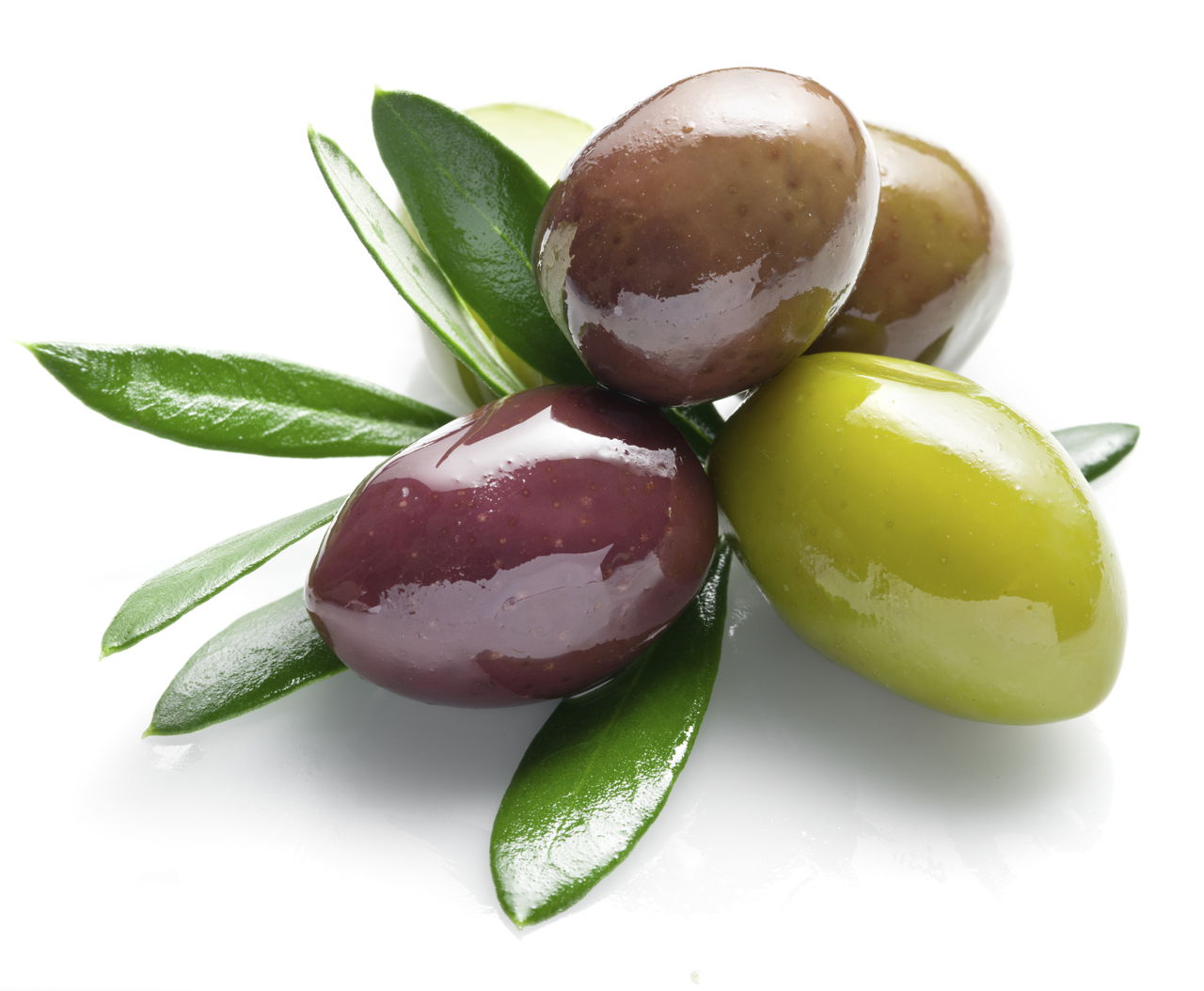 What is the Difference Between Black Olives and Green Olives?