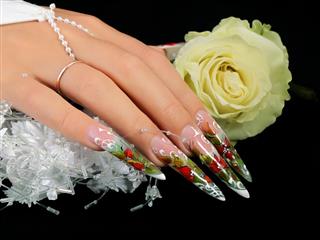 Female hand with manicure and beautiful design on nails