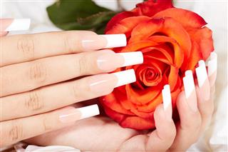 Hands with french manicured nails and red rose flower