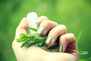 A female with a green manicure holding green leaves