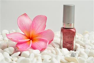 Nail polish displayed on white pebbles with a pink frangipani