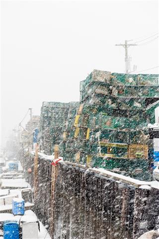 Lobster Traps On Pier During Blizzard