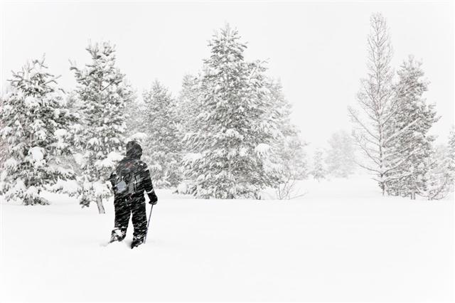 Lone Walker In A Blizzard