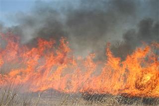 Grasslands Burning