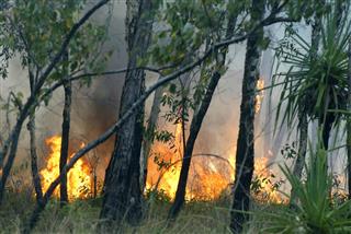 Bush Fires In Central Australia