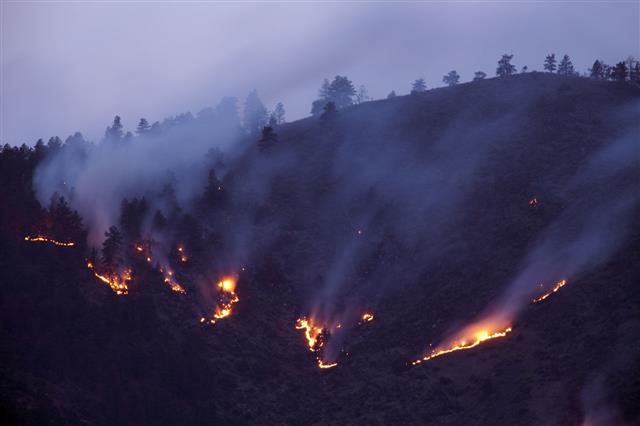 Collins Colorado Forest Fire