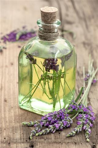Lavender Oil And Fresh Flowers