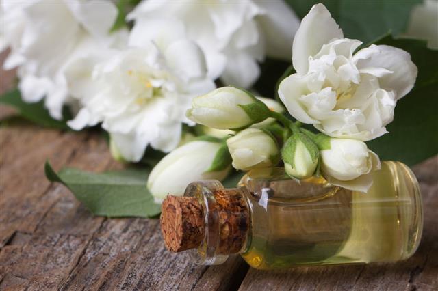 Fragrant Oil Of Jasmine Flowers
