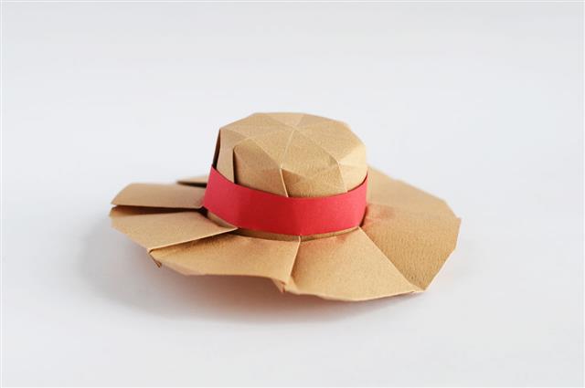 Origami Straw Hat