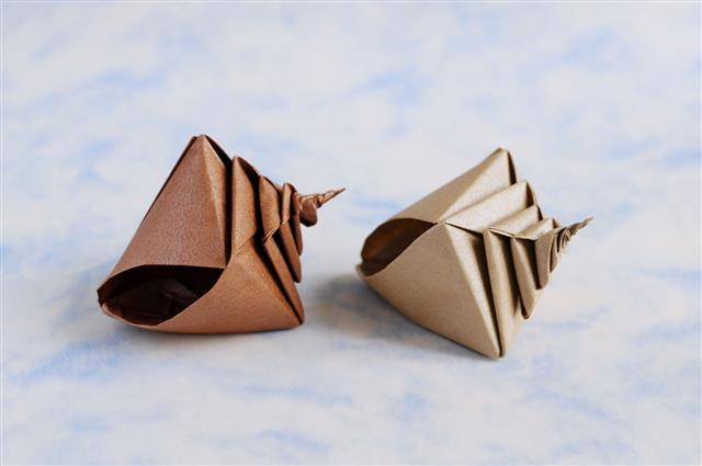 Origami Shell
