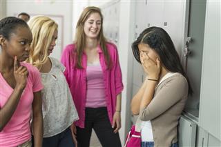 High School Bully