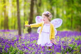 Toddler Girl Wearing Fairy Costume